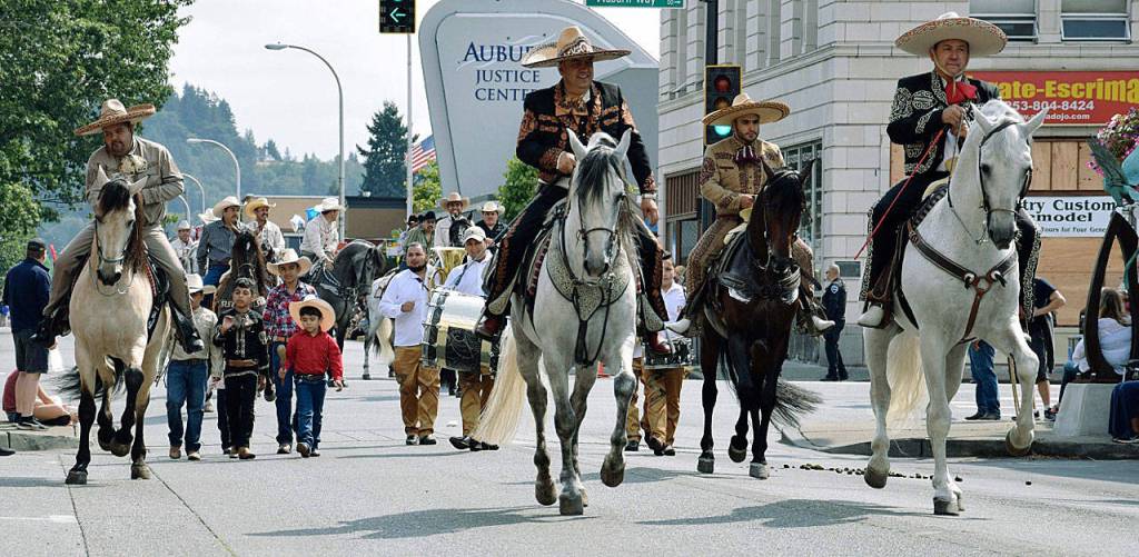 The Western Horse Group trots along in the parade. RACHEL CIAMPI, Auburn Reporter