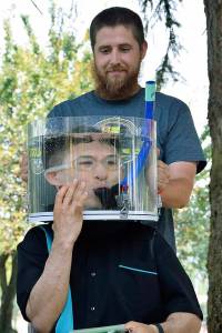 Summerstage in the park