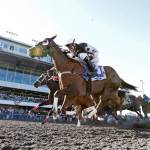 Sorelli captured the 2016 B of A Championship Challenge. A 5-year-old Oklahoma-bred mare, Sorelli could become the first repeat winner of the race when the field goes to the post Sunday. COURTESY TRACK PHOTO