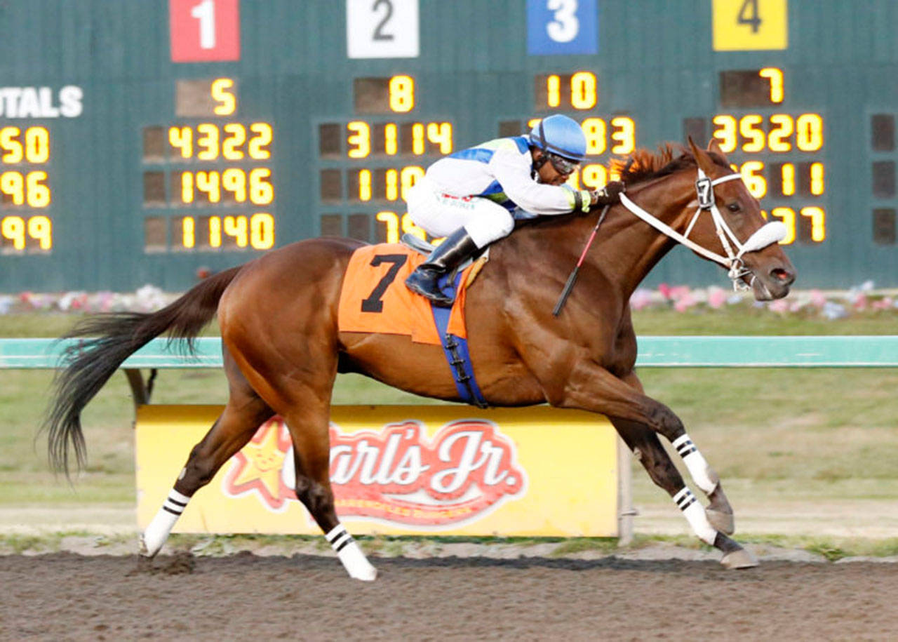 Mike Man’s Gold set for Washington Cup | Emerald Downs