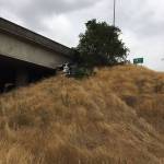 A female driver died of a medical condition while driving on State Route 167 on Friday. WSP PHOTO