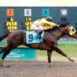 Party Pooper, with Erick Lopez up, captured the $11,200 Muckleshoot Casino Purse for 3-year-olds and up at Emerald Downs on Saturday. COURTESY TRACK PHOTO
