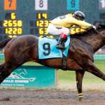 Party Pooper prevails in Saturday feature | Emerald Downs