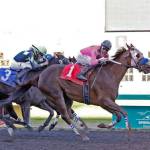Kevin Orozco drives Emmett Park to a one-length victory Sunday in the $20,500 Muckleshoot Casino Purse at Emerald Downs. COURTESY TRACK PHOTO