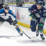 T-Birds acquire right wing from Kootenay for two draft picks
