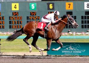 Gottstein Futurity highlights closing weekend | Emerald Downs