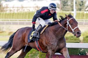 Elliott Bay prevails in closing-day Gottstein | Emerald Downs