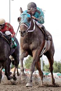 Mach One Rules chosen 2017 Horse of the Meeting | Emerald Downs honors