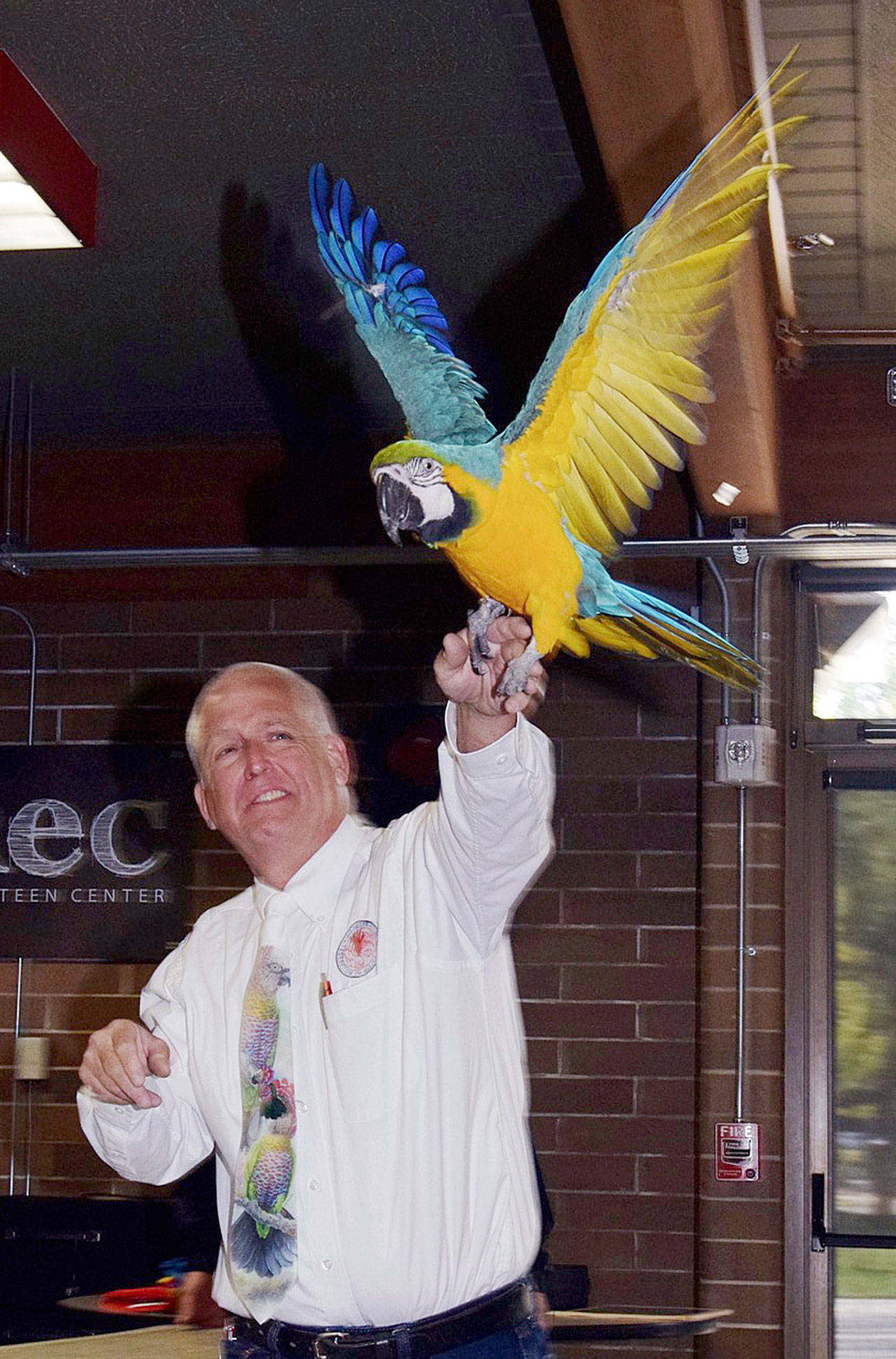 Buddy Waskey&rsquo;s parrot, Gimpy, prepares to take flight during the Seattle Parrot Expo at the Auburn Community & Event Center last Saturday. More than 20 parrot species from throughout the world were on display and more than 30 exhibitor spaces were featured. RACHEL CIAMPI, Auburn Reporter