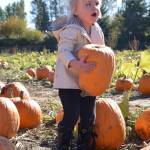 RACHEL CIAMPI, Auburn Reporter
