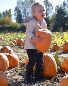 Patchwork at Mosby’s