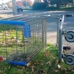Auburn mulls changes to abandoned-shopping-cart policies