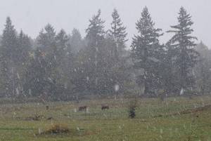 Winter’s early visit