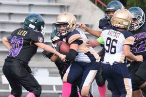 Youth Panthers of the prowl