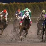 Emerald Downs announces 70-day live racing season for 2018