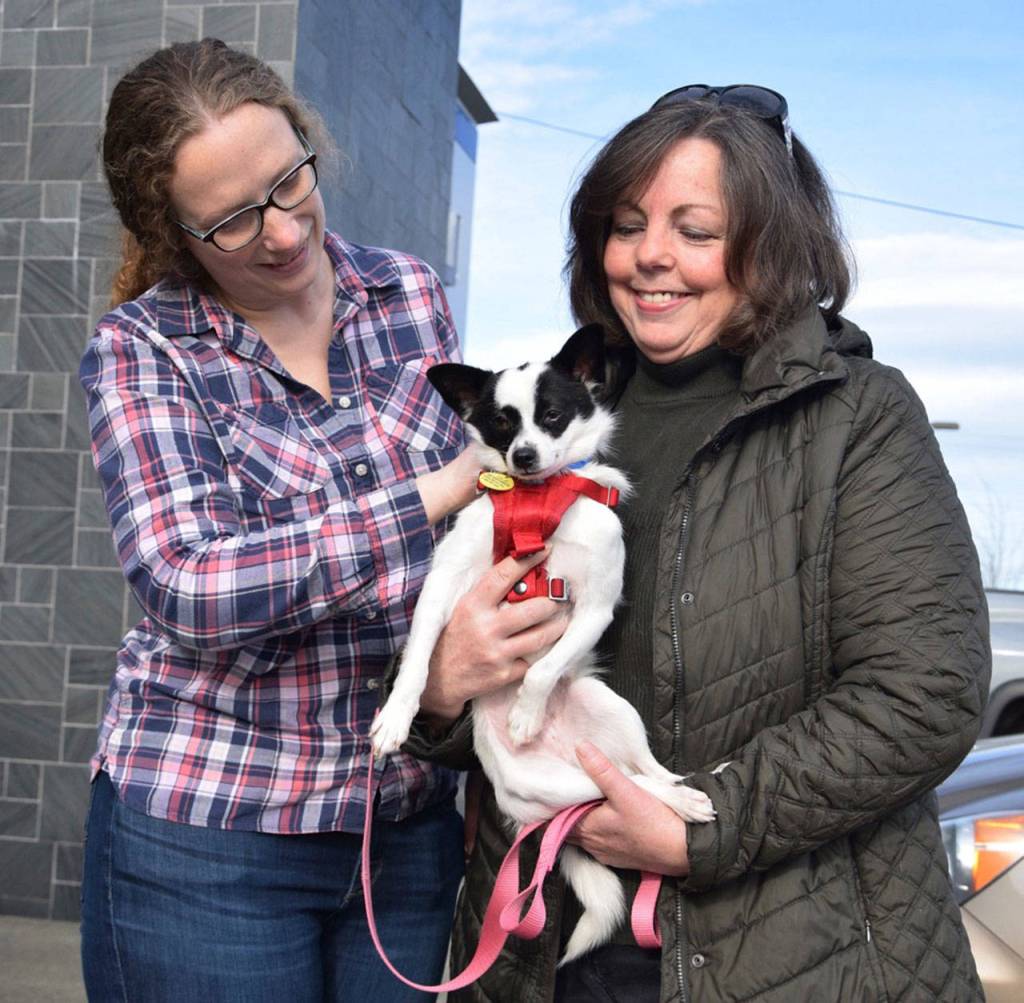 Worker Heather Dufalo, left, brings Chili to Peg Prideaux, who adopted the dog during the event Saturday. RACHEL CIAMPI, Auburn Reporter