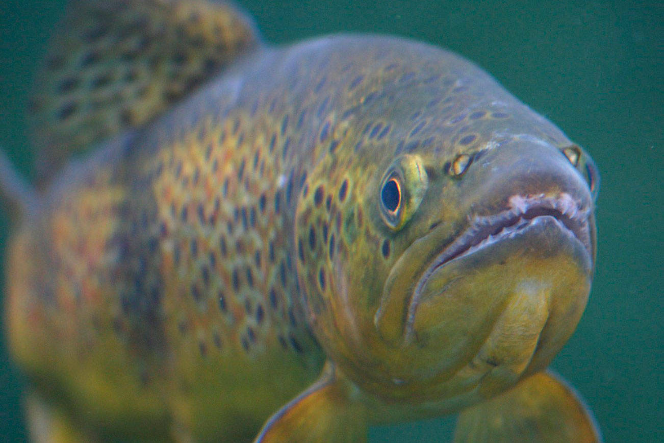 Accord fosters cooperation | Being Frank