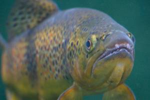 Accord fosters cooperation | Being Frank