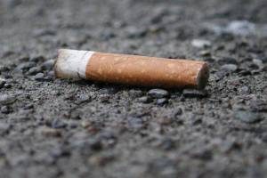 City OKs new contract with litter picker upper, leaves leaf pickup out of it