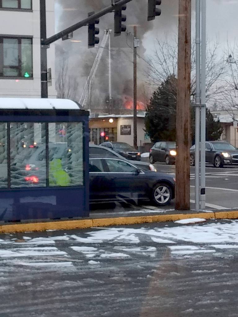 COURTEYS PHOTO, Sara Abbott