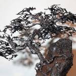 Auburn woman wins prestigious art competition