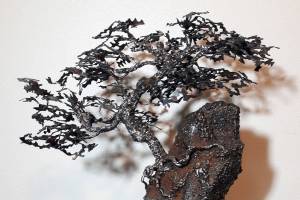 Auburn woman wins prestigious art competition