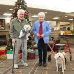 Bob Terrell and Peggy Burley with their dogs, Gracie and Buster, who helped the two reconnect at Cedar Ridge in Bonney Lake after 66 years when they first met as teacher and student. Photo by Ray Still