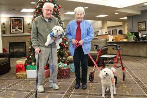 Reunion at long last