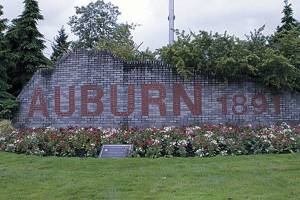 Auburn director departs for new job