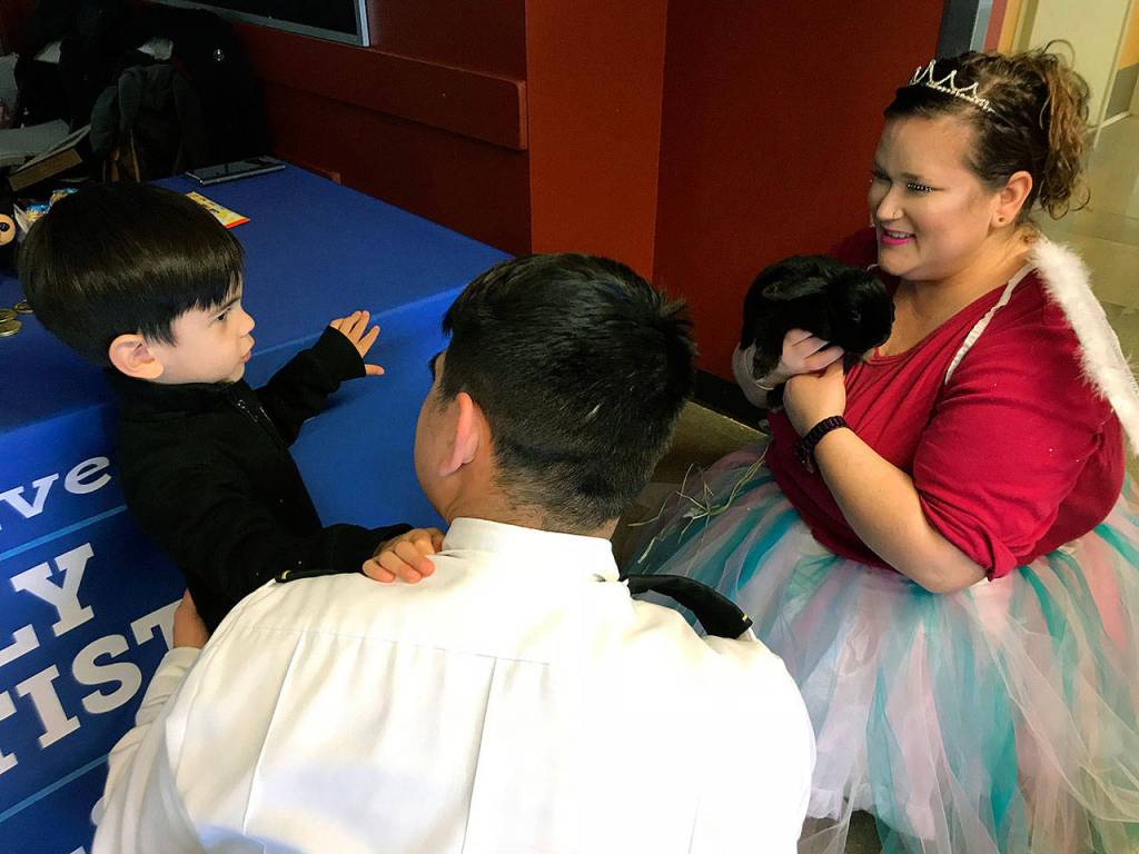 Lascey Tuppa, the tooth fairy, introduces Lily, White River Family Dentistrys mascot bunny, to Lincoln Barnes, 4, as his father, Bruce, watches. MARK KLAAS, Auburn Reporter