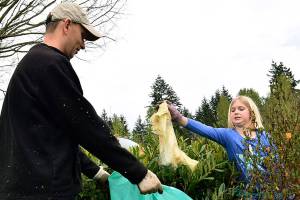 Volunteer for Clean Sweep; register now