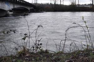 Public invited to comment on new Pacific Right Bank Flood Protection Project
