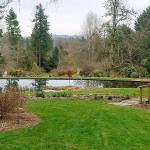 Season opens at Soos Creek Botanical Garden & Heritage Center on April 4