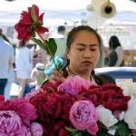 Temporary home: Auburn Farmers Market moving to Les Gove Park