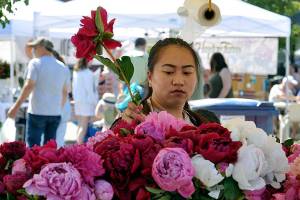 Temporary home: Auburn Farmers Market moving to Les Gove Park