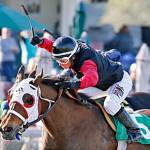 Mary Lois prevails in opening day feature