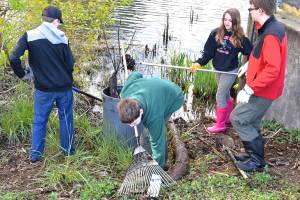 Auburn goes to work in Clean Sweep