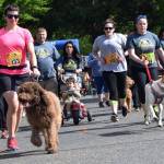 Dog Trot is a family-oriented fun run event that takes place prior to Petpalooza at Game Farm Park, 3030 R. Street SE. Participants will follow a 3K or 5K route. RACHEL CIAMPI, Auburn Reporter