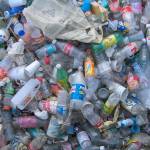 Trash talk in Auburn