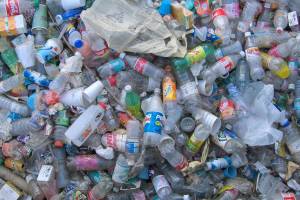 Trash talk in Auburn