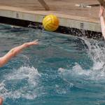 RACHEL CIAMPI, Auburn Reporter