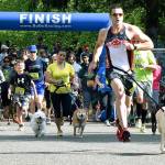 Runners and joggers and their furry friends take off at last years Dog Trot at Game Farm Park. RACHEL CIAMPI, Auburn Reporter