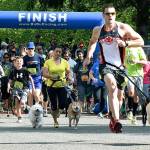 Petpalooza returns to Game Farm Park on Saturday