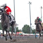 Ima Happy Cat headlines $50,000 Kent Stakes