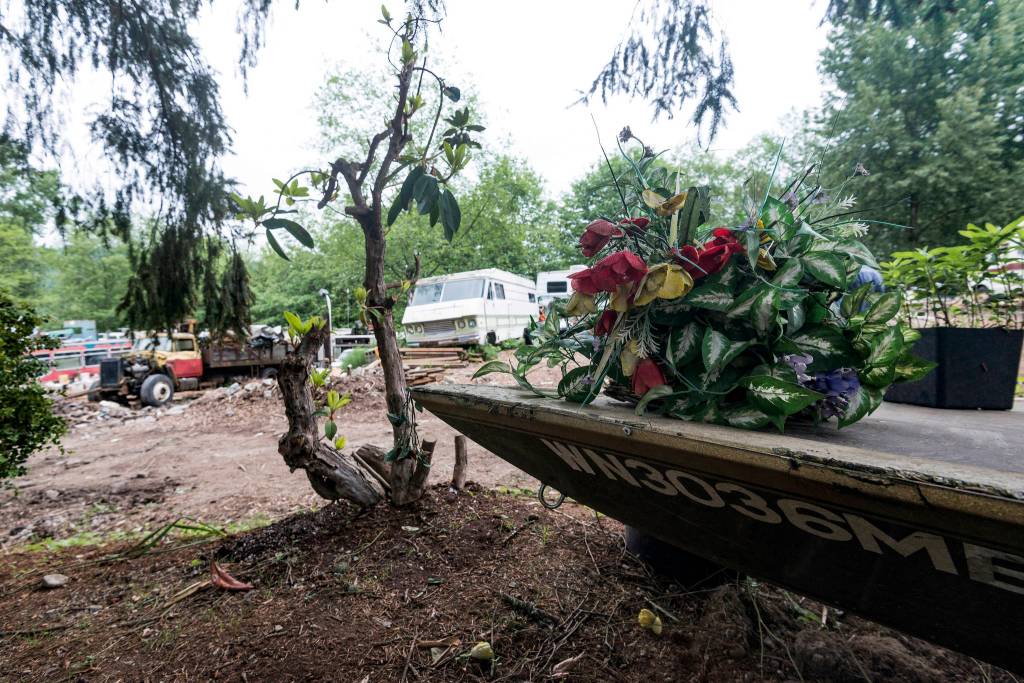 A view of Iron Mountain. Photo by Caean Couto