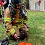 A Valley Regional Fire Authority firefighter tends to a resuscitated cat that was rescued from an Auburn apartment fire Thursday. COURTESY PHOTO, VRFA