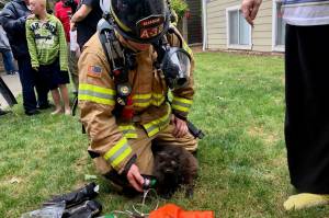 Firefighters rescue cat at apartment fire in Auburn