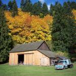 Beautiful Mary Olson Farm on Green River Road is operated as a partnership between the White River Valley Museum and the City of Auburn. It is said to be King Countys best preserved subsistence farm and has been fully restored. COURTESY PHOTO, WRVM