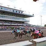 Mach One Rules (No. 6) prevails in the 2017 Budweiser Stakes. COURTESY TRACK PHOTO