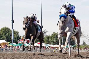 Dedicated to You takes Budweiser via DQ